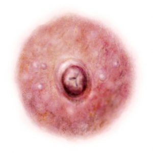 Light Temporary Nipple Tattoos